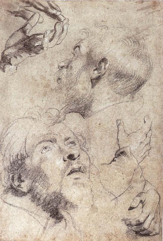Peter Paul Rubens Four hand and two man-s head portrait china oil painting image